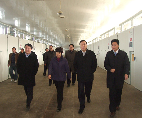 市委副書(shū)記、市長(zhǎng)調(diào)研